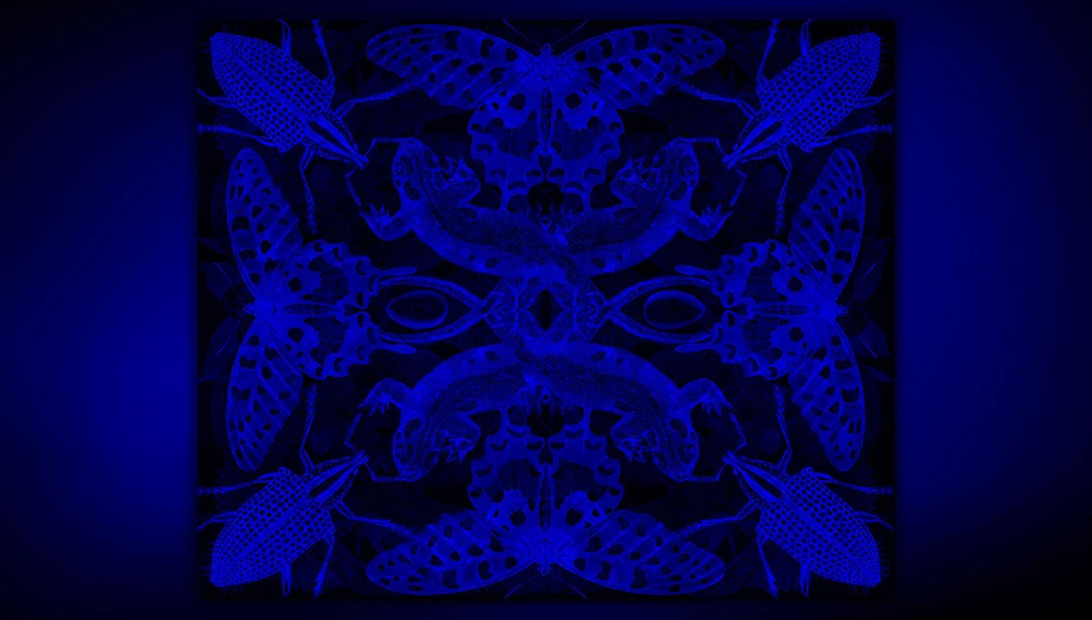 Ananasso Artep rug with blue light