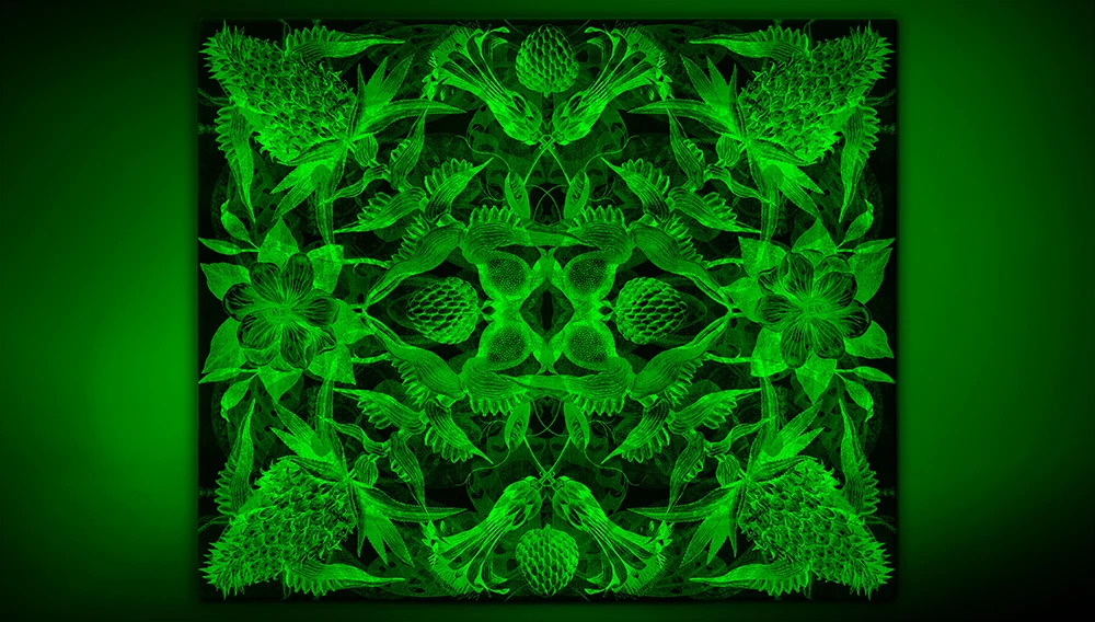 Ananasso Artep rug with green light