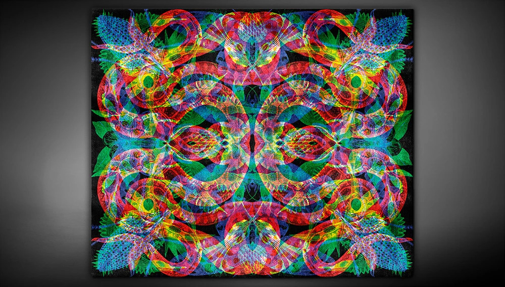 ANANASSO Artep rug with natural light