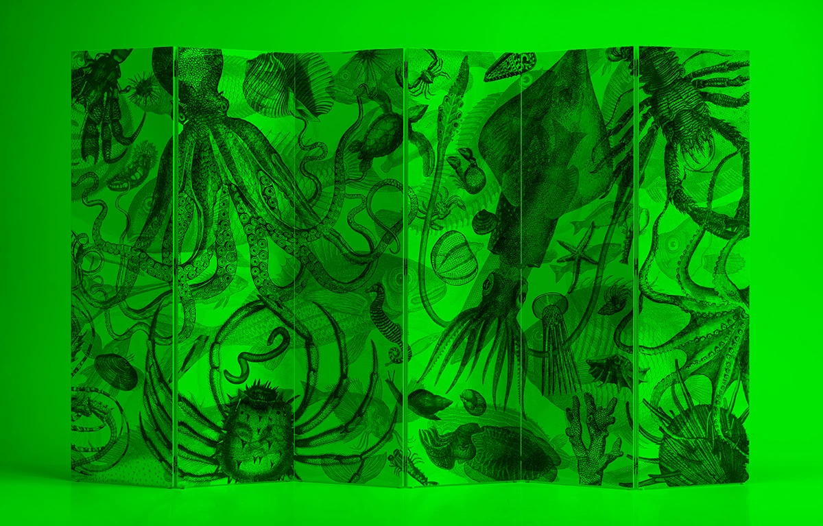 Animalia Artep green light