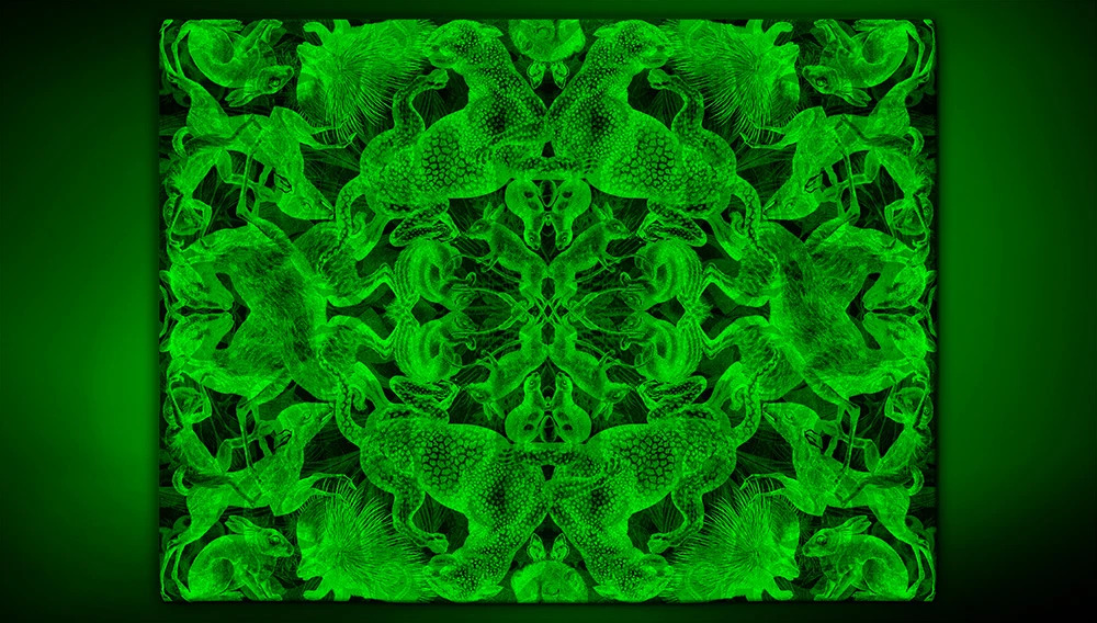 Artep rug Bestiario with green light