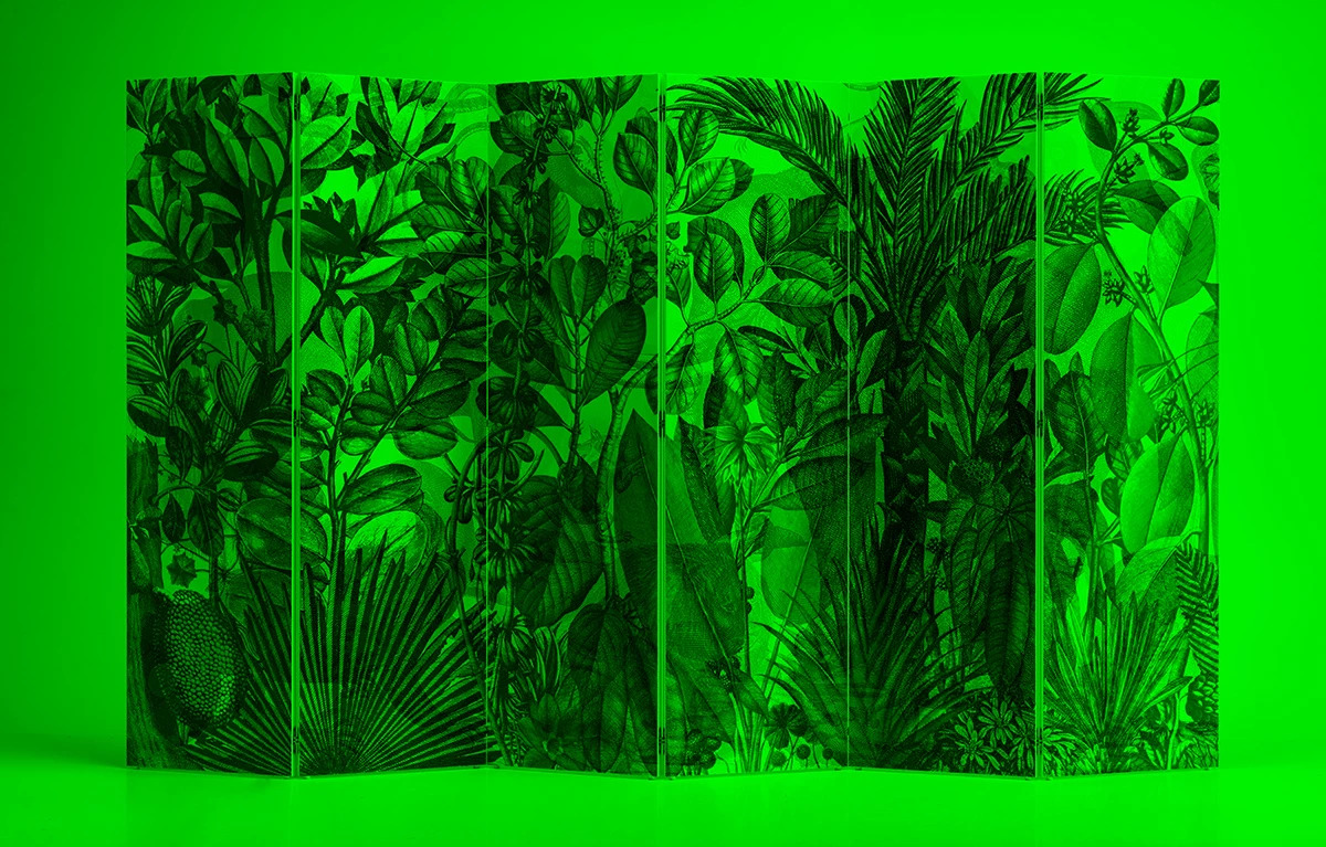 Jungla Artep green light