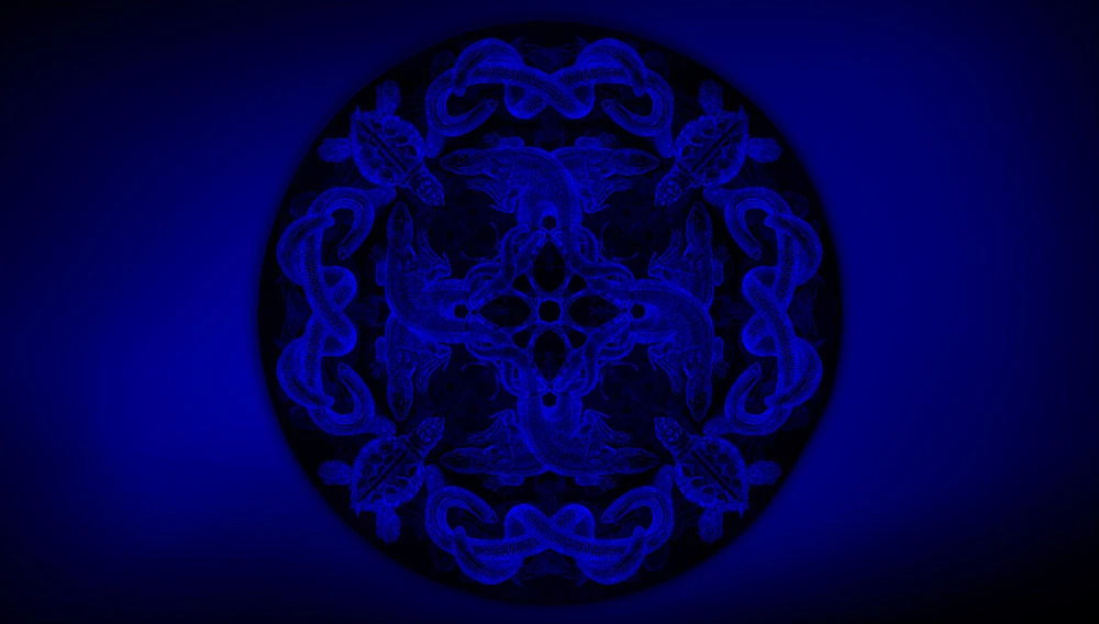 MARIPOSA Artep rug with blue light