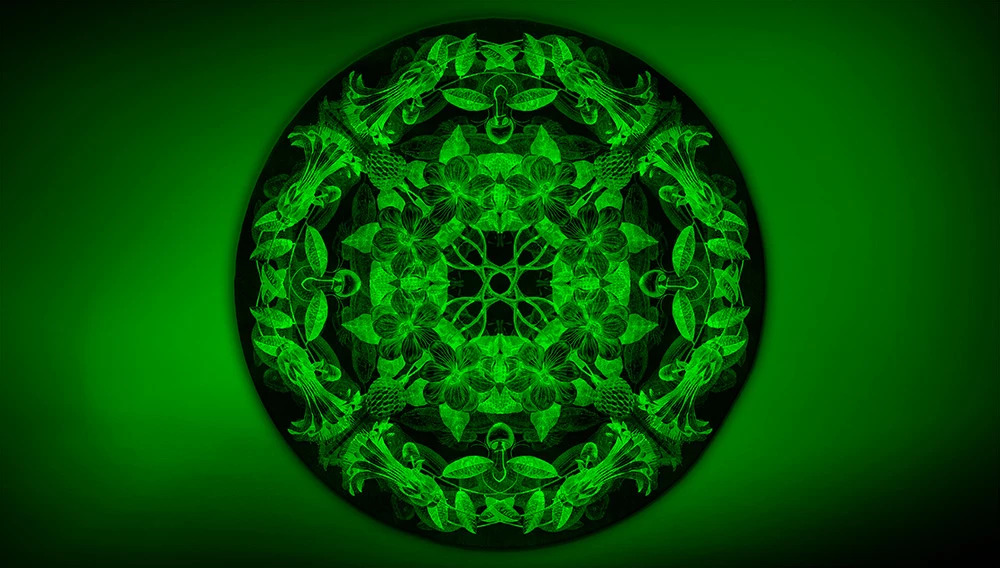 MARIPOSA Artep rug with green light