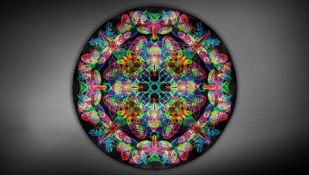 MARIPOSA Artep rug with natural light