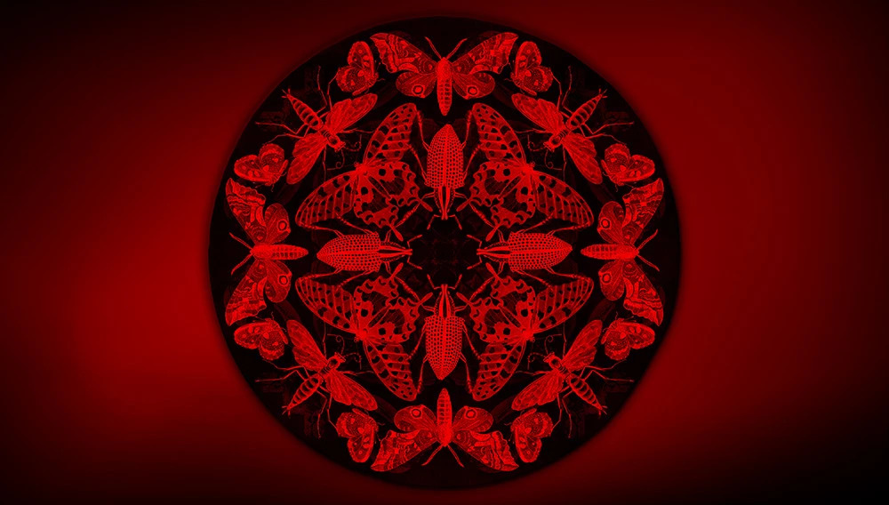 MARIPOSA Artep rug with red light