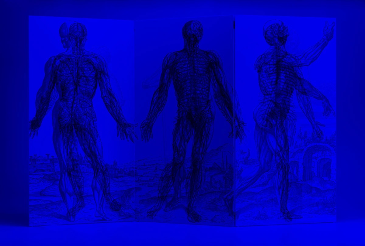 Vesalio Artep with blue light