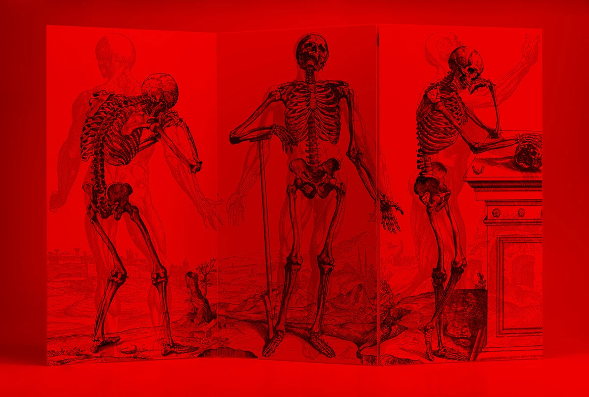 Vesalio Artep red light