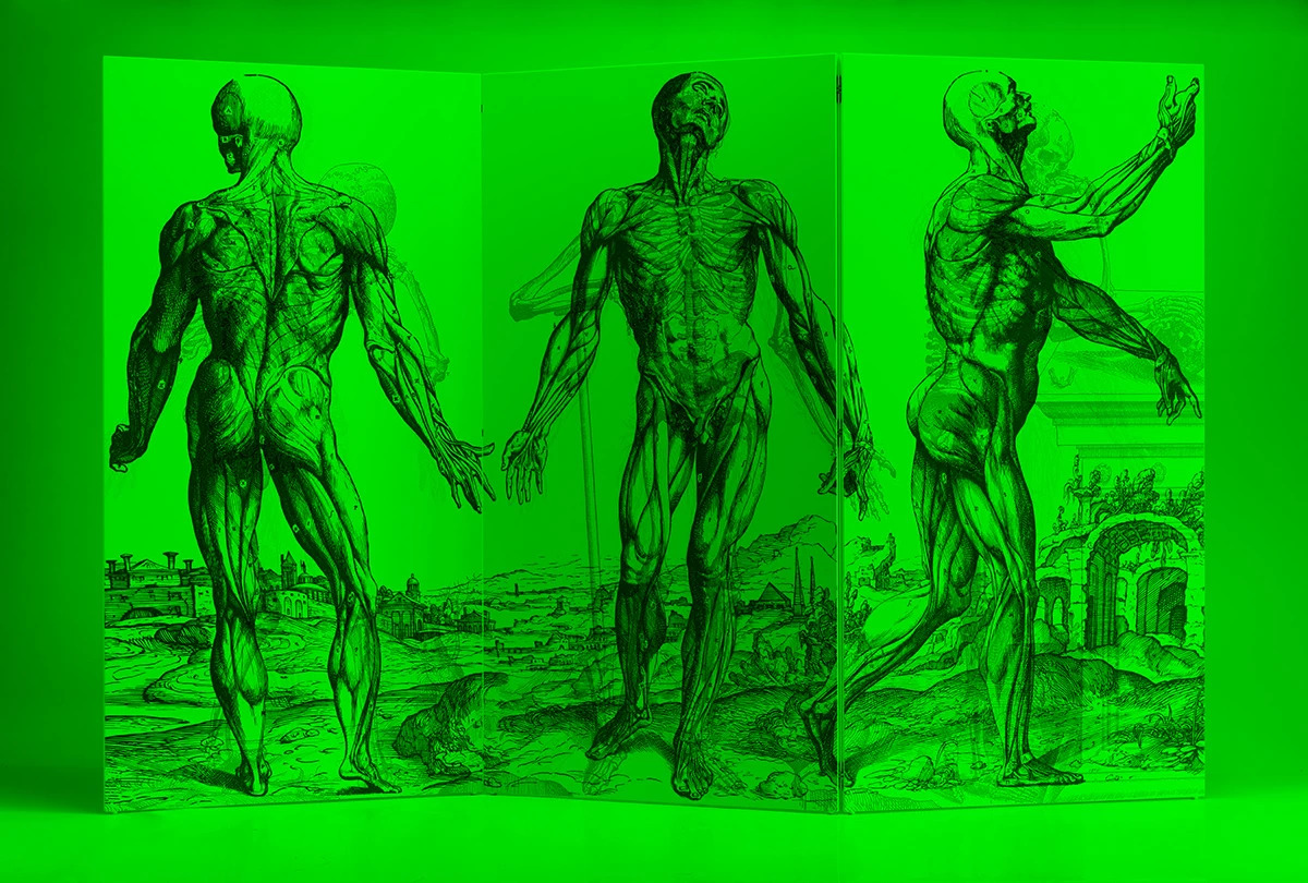 Artep Vesalio with green light