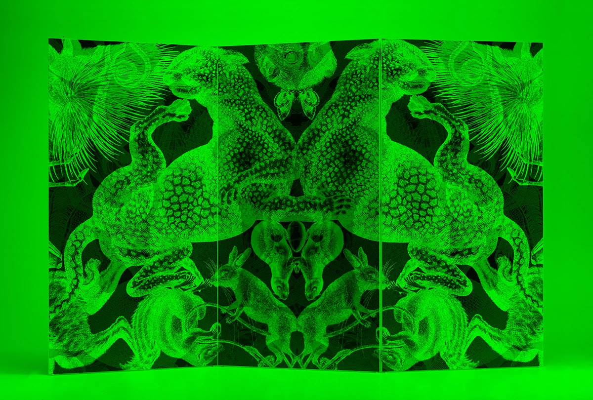 Artep Vesalio green light