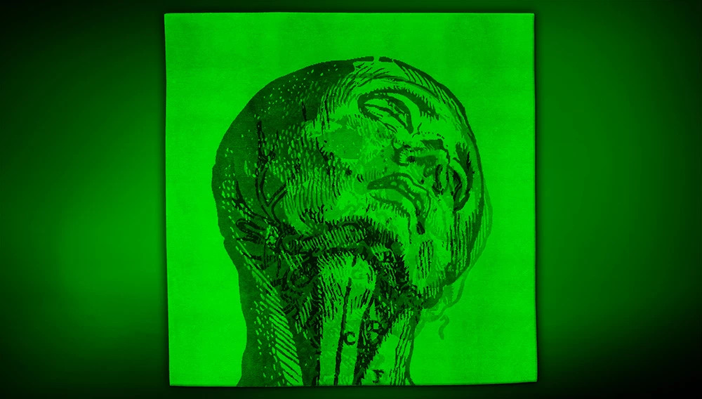 VESALIO Skull Artep rug with green light
